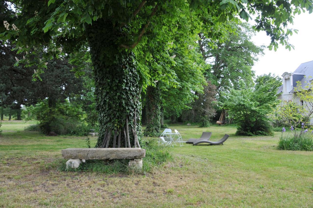 L'Orangerie Du Chateau - Le Nid - Gite 2 Personnes Брен-сюр-Аллонн Экстерьер фото